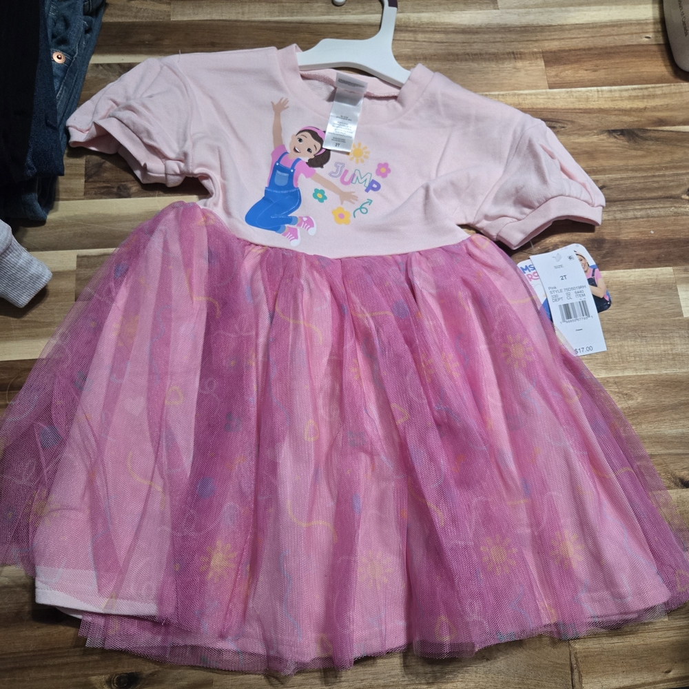 2T Pink Tulle Dress with Ms. Rachel Print